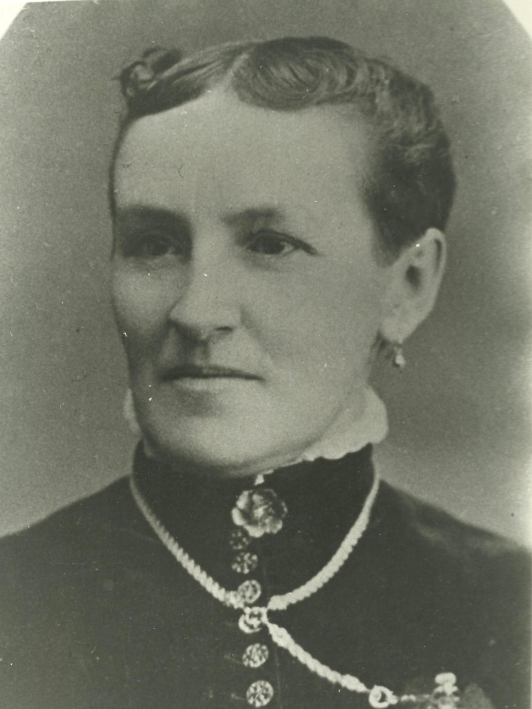 Alice Penn Maiben (1847 - 1920) Profile